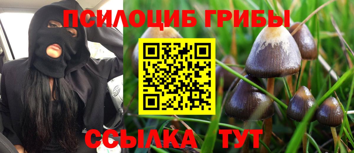 Галлюциногенные грибы GOLDEN TEACHER  Вход с VPN  Строитель 